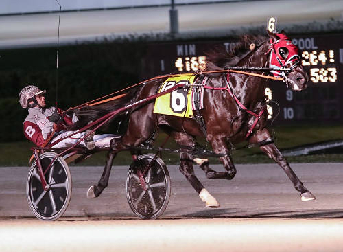 None Bettor A goes all the way